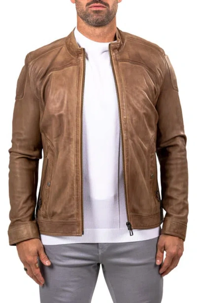Maceoo Leather Jacket In Brown