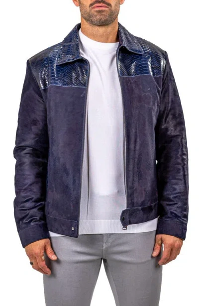 Maceoo Leather Jacket In Purple