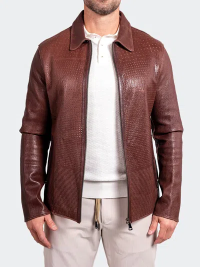 Maceoo Leather Resistance1016 Brown