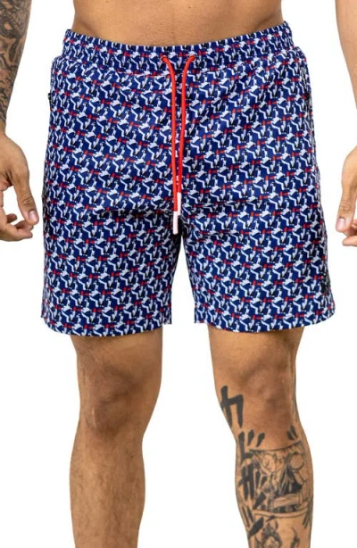 Maceoo Swim Marthyr Print Swim Trunks In Blue