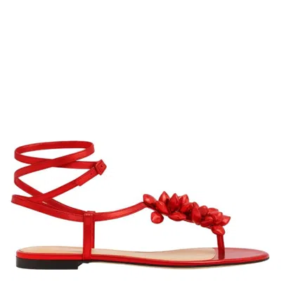 Mach&mach Mach & Mach Puffy Heart Thong Sandals In Multi