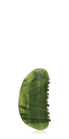 Machete Crescent Claw Algae In Green
