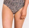 Mack & Mal Fun In The Sun Swim Bottoms In Natural Leopard Print In Multi