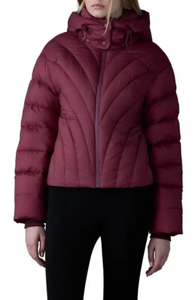 Mackage Hope 750 Fill Power Down Puffer Jacket In Garnet