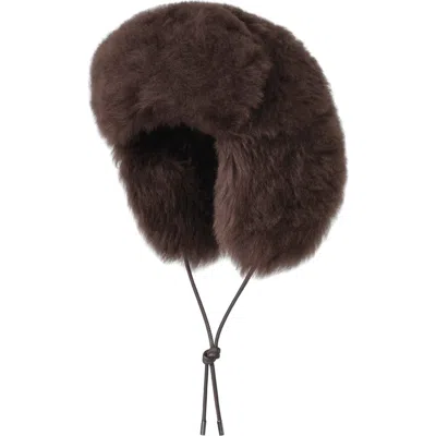 Mackage Zorica Genuine Shearling Aviator Hat In Coffee