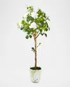 Mackenzie-childs Cameo 53" Potted Rose Topiary