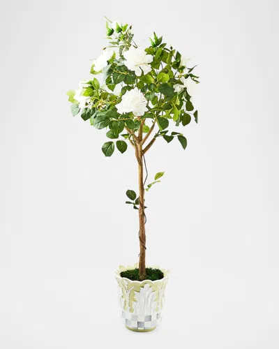 Mackenzie-childs Cameo 53" Potted Rose Topiary In Green