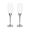 Mackenzie-childs Celebrate Courtly Toasting Flutes, Set Of 2 In Transparent