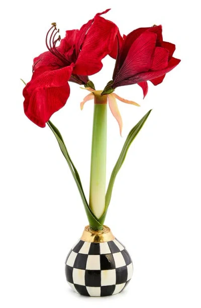 Mackenzie-childs Mackenzie Childs Courtly Check Imitation Amaryllis Bulb Arrangement In Multi