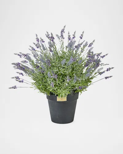 Mackenzie-childs Lavender Urn Filler In Multi