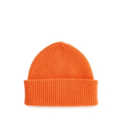 Mackie Logo Beanie In Orange
