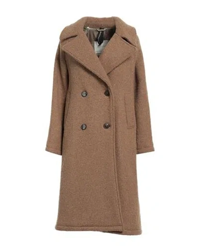 Mackintosh Woman Coat Camel Size 6 Virgin Wool, Polyamide In Brown