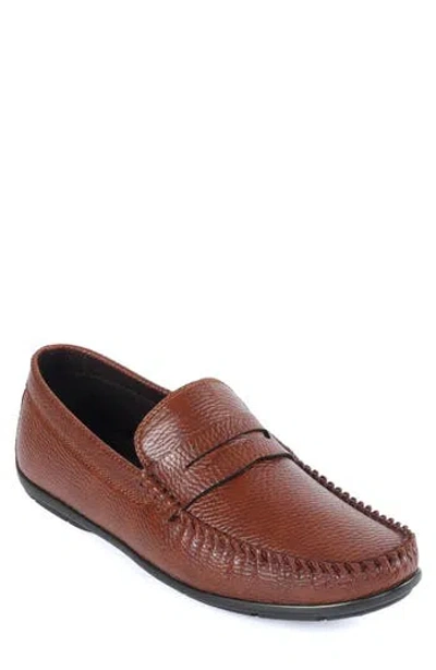 Macnola Brentwood Penny Driving Loafer In Brown
