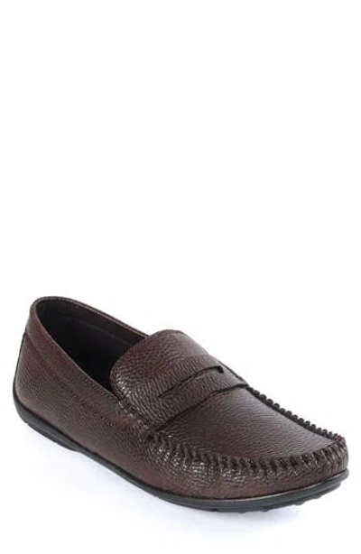Macnola Brentwood Penny Driving Loafer In Dark Brown