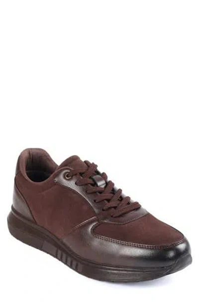 Macnola Kingle Series 31 Sneaker In Dark Brown