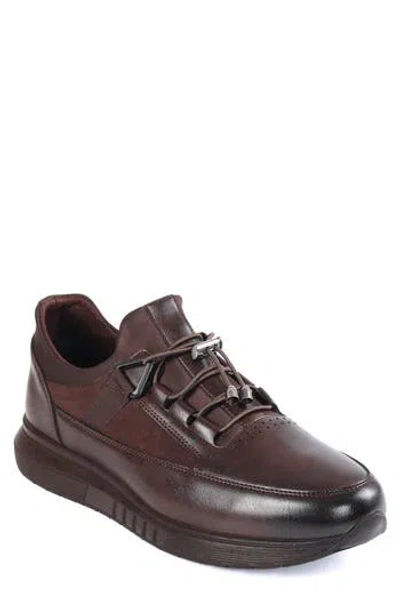 Macnola Kingle Series 53 Sneaker In Dark Brown