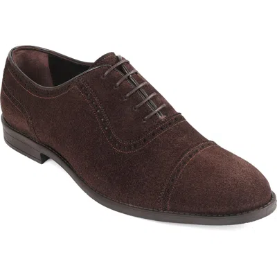 Macnola Maine Brogue Wingtip Oxford In Brown