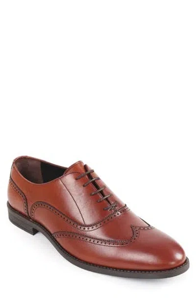 Macnola Maryland Brogue Wingtip Oxofrd In Brown