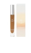 Macrene Actives High Performance Concealer In Beauty: Na