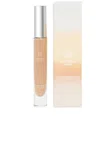 Macrene Actives High Performance Concealer In Medium