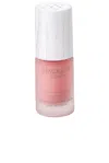 Macrene Actives High Performance Tinted Lip Filler In Pink