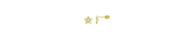 Macy's Cubic Zirconia Flower Screw Back Stud Earrings In Gold