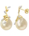 Macy's Cultured Golden South Sea Pearl (12mm) & Diamond (1/20 Ct. T.w.) Vine Stud Earrings In 14k Gold In Gold