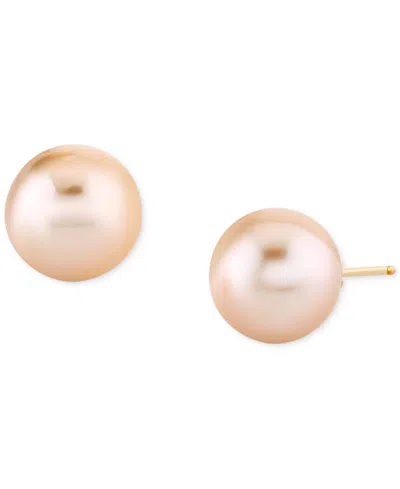 Macy's Cultured Golden South Sea Pearl (9mm) Solitaire Stud Earrings In 14k Gold In Yellow Gold
