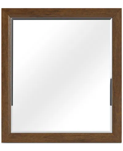 Macy's Davie Mirror In Brown