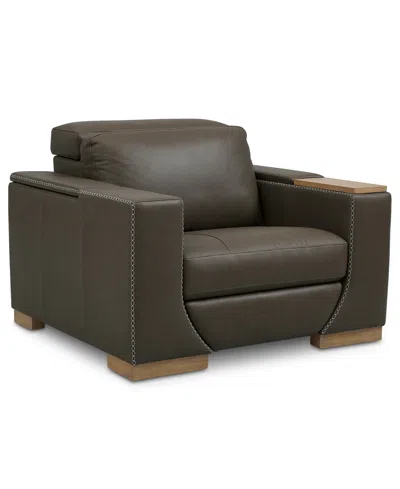 Macy's Holtman 33" Leather Power Recliner In Brown