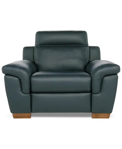 Macy's Julius Ii Leather Power Recliner, Exclusively At  In Blue