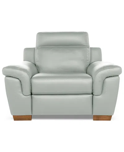 Macy's Julius Ii Leather Power Recliner, Exclusively At  In Gray