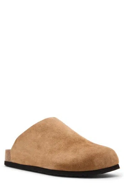 Madden Cortix Clog In Brown