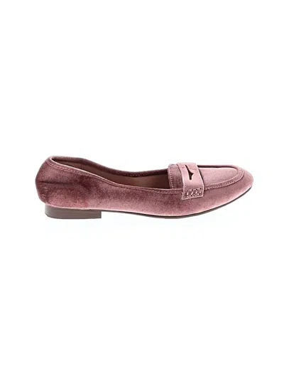 Pre-owned Madden Girl Flats In Burgundy