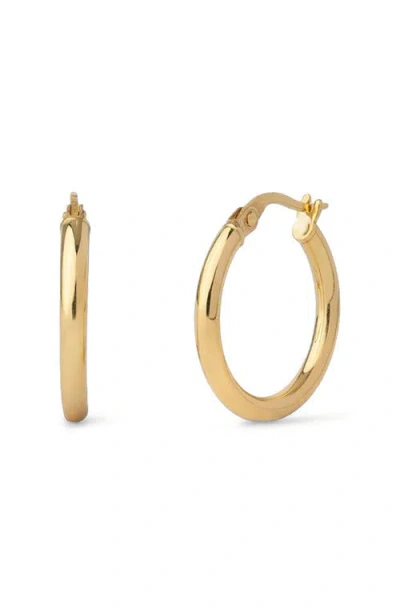 Made By Mary 14k Maude Hoop Earrings In Gold