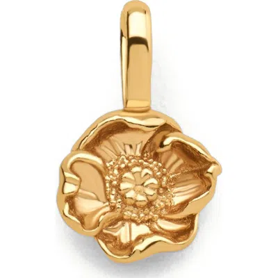 Made By Mary August Birth Flower Charm In Gold