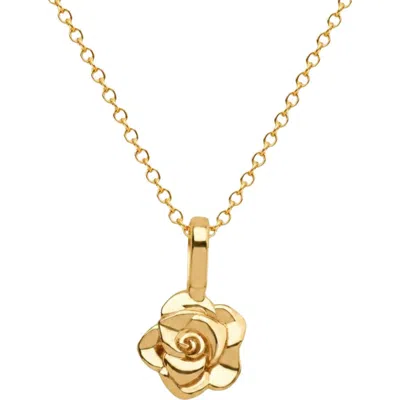 Made By Mary Birth Flower Charm Necklace In Gold Vermeil - June