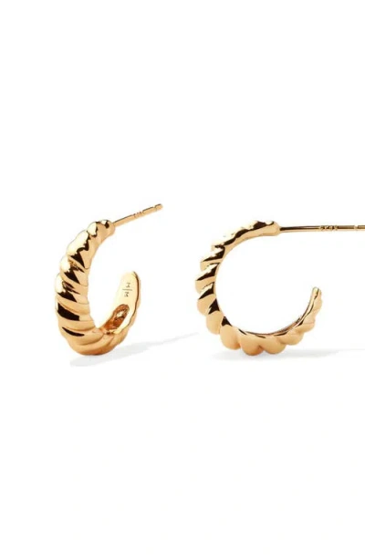 Made By Mary Gloss Croissant Hoop Earrings In Gold