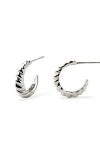 Made By Mary Gloss Croissant Hoop Earrings In Metallic