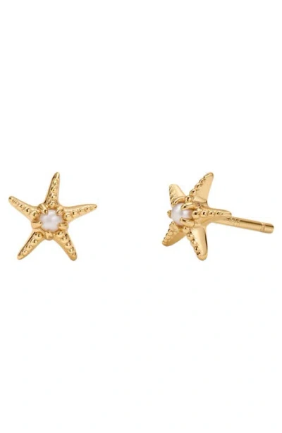 Made By Mary Starfish Stud Earrings In Gold