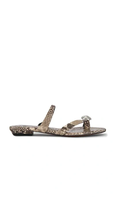 Madewell Cera Thong Sandal In Neutral