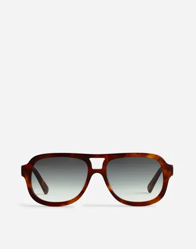 Madewell Dashden Aviator Sunglasses In Milky Acorn Tortoise