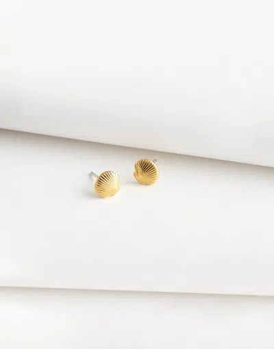 Madewell Demi-fine Shell Stud Earrings