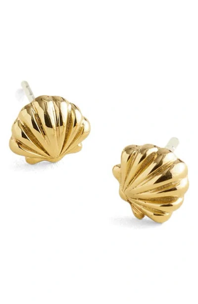 Madewell Demi-fine Shell Stud Earrings In Gold