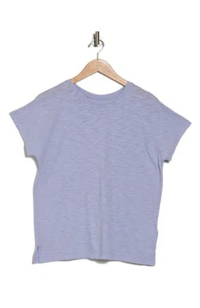 Madewell Gauze Slub Knit T-shirt In Washed Lavender