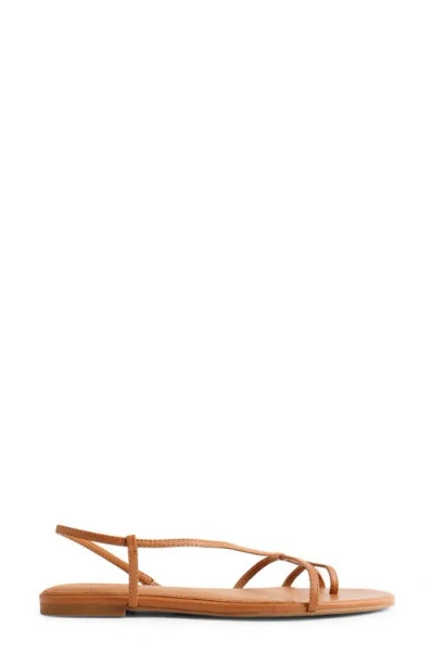 Madewell The Iggy Strappy Sandal In Brown