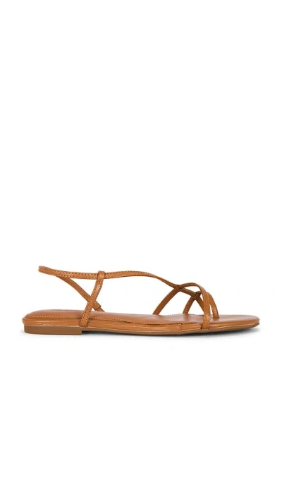 Madewell Iggy Strappy Sandal In Toasted Coconut