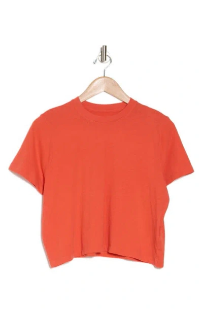 Madewell Lakeshore Softfade Cotton Crop Tee In Coastal Orange