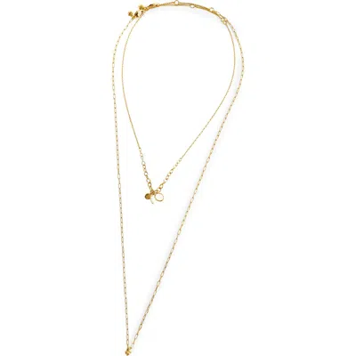 Madewell Long Horn Mother Of Pearl Layered Necklace In Gold