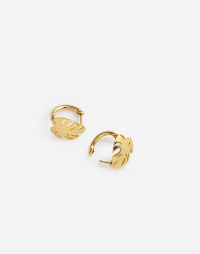 Madewell Monstera Hoop Earrings In Gold